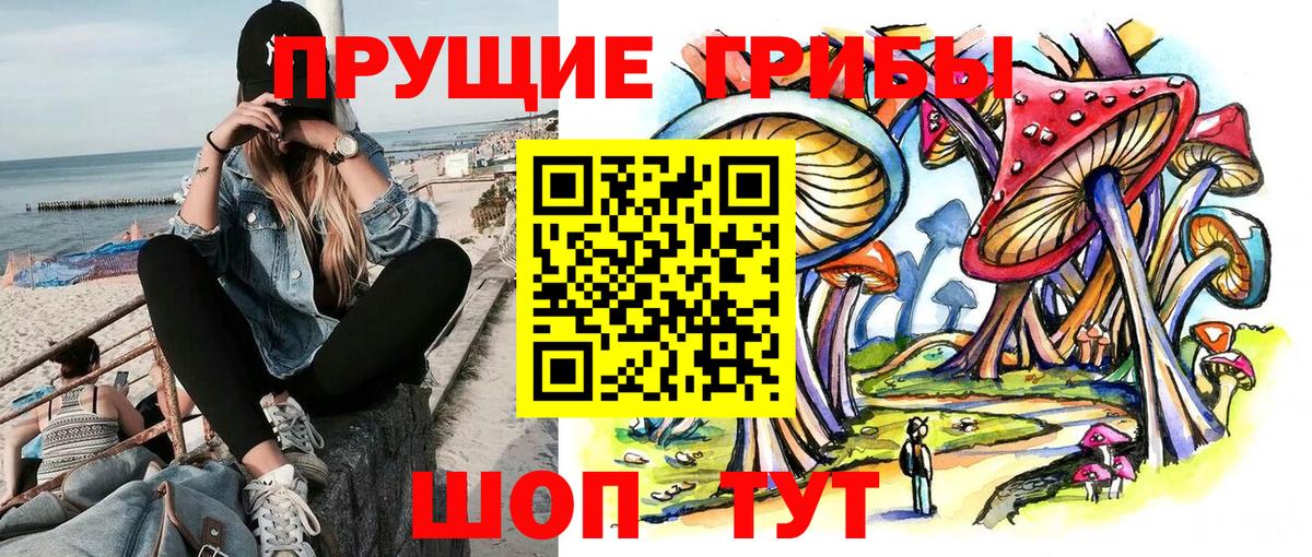 Галлюциногенные грибы прущие грибы  Псилоцибиновые грибы мицелий  Вход с VPN  Коммунар 