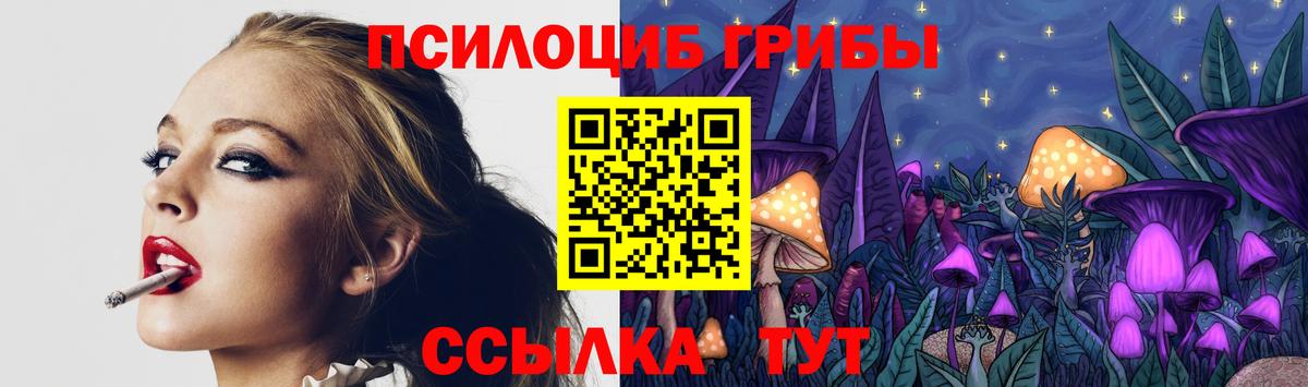 Галлюциногенные грибы Magic Shrooms Коммунар